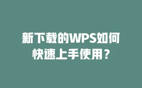 新下载的WPS如何快速上手使用? 一